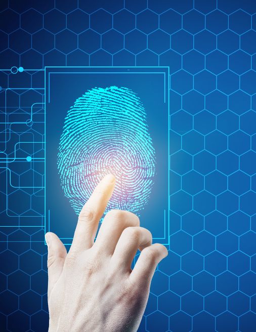 Brightcode Software Services